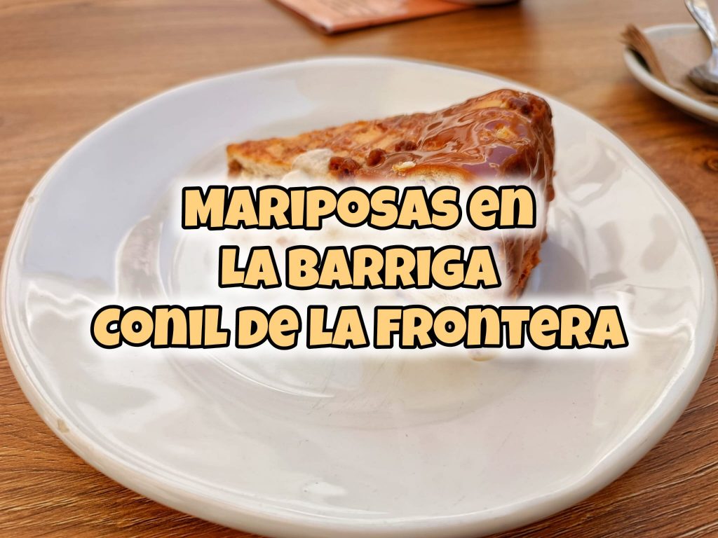 mariposas en la barriga conil