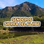 Senderos los alcornocales (1)