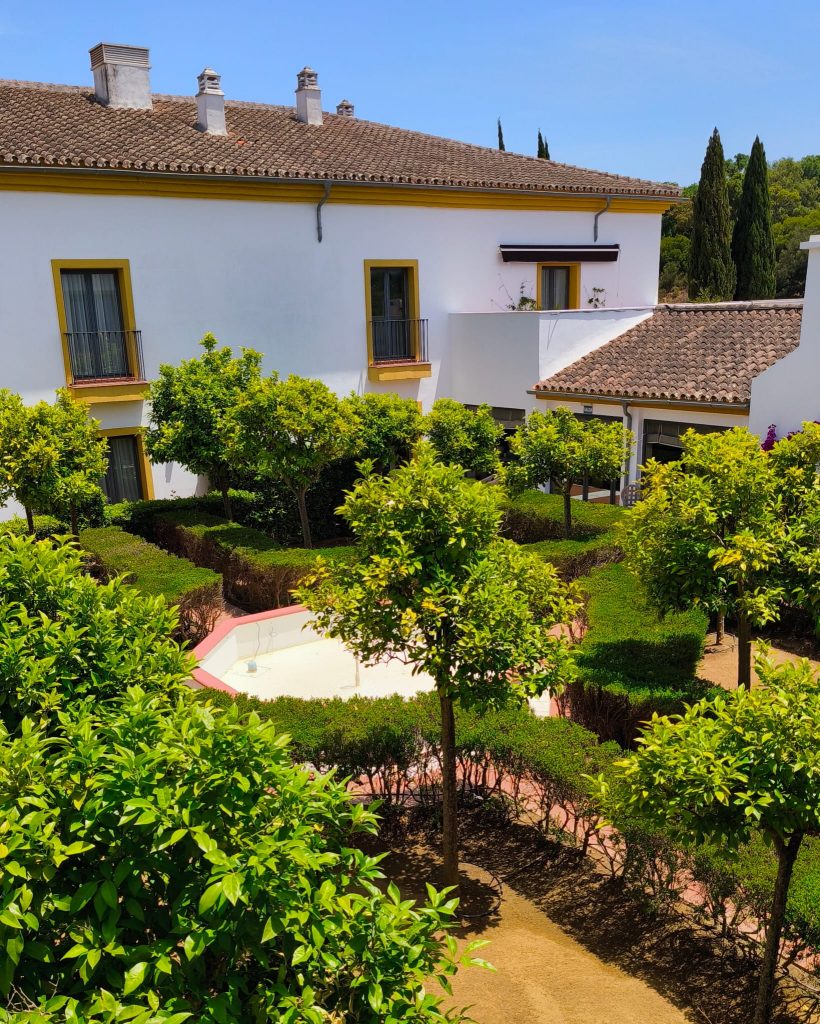 AZZ Hacienda El Alcornocal (3)