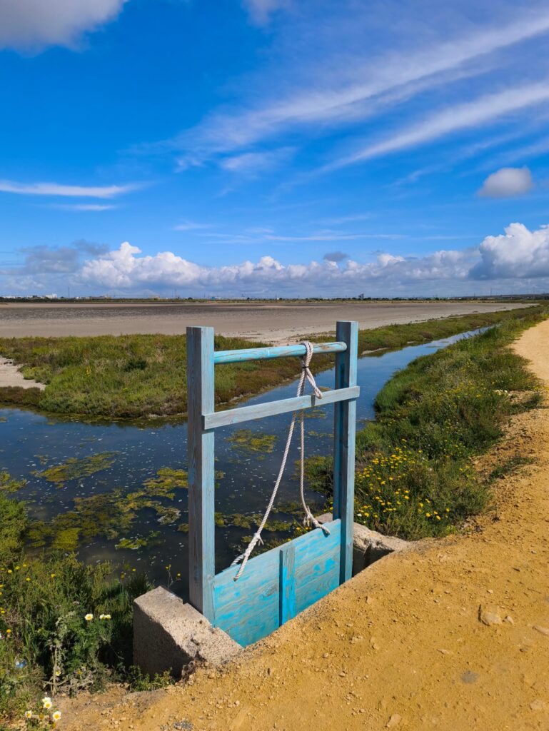 senderos bahia de cadiz familia (1)