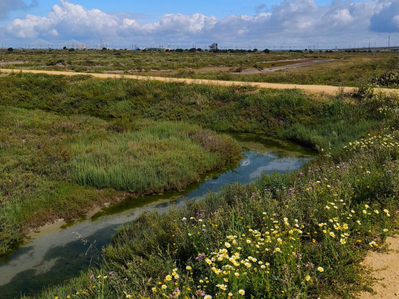 senderos bahia de cadiz familia (2)